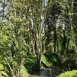 Bed & Breakfast Domaine Pastel 3*