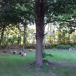 Domaine Pastel Bed & Breakfast Besson