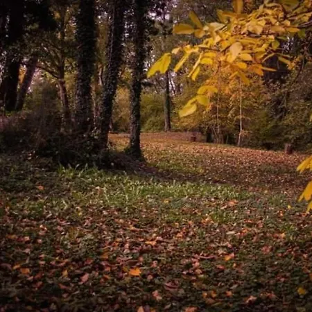 Domaine Pastel Besson