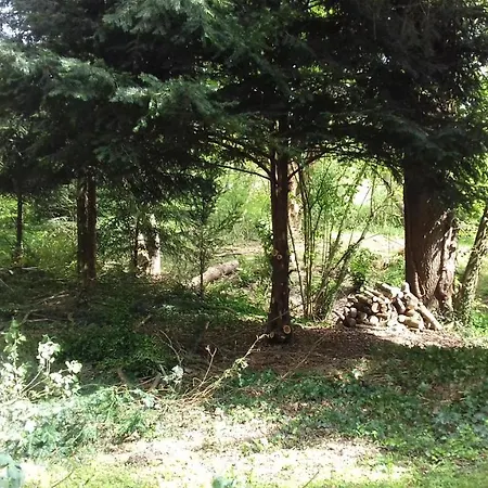 Domaine Pastel 3* Besson