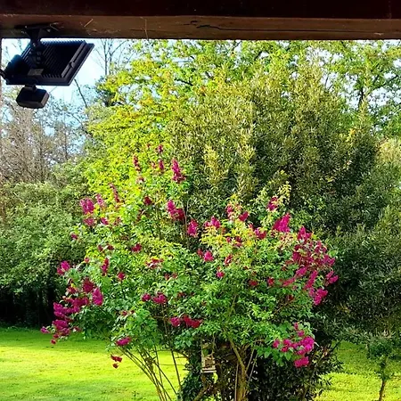 Domaine Pastel Besson