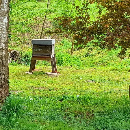 Domaine Pastel Besson