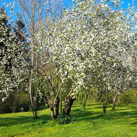 Domaine Pastel 3* Besson