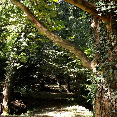 Domaine Pastel Frühstückspension