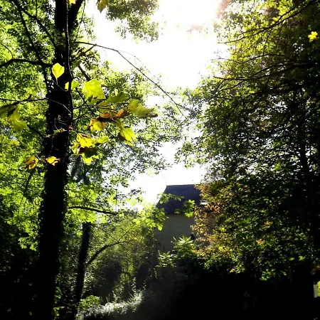 Domaine Pastel Besson