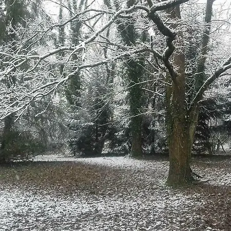 Domaine Pastel Besson