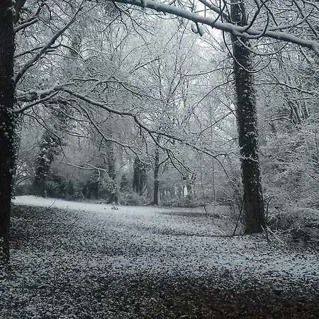 Domaine Pastel 住宿加早餐酒店 3*