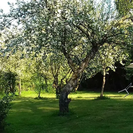 住宿加早餐酒店 Domaine Pastel