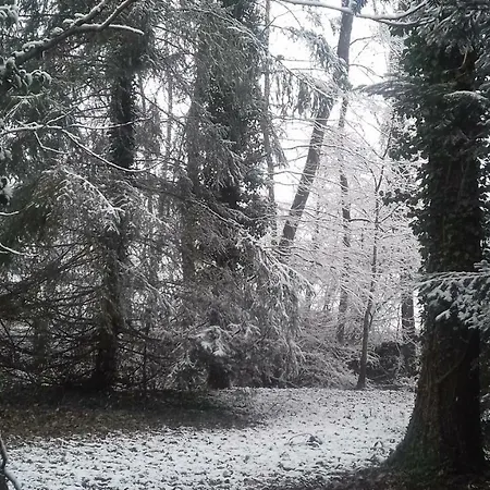 住宿加早餐酒店 Domaine Pastel Besson