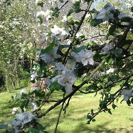 Domaine Pastel 3* Besson