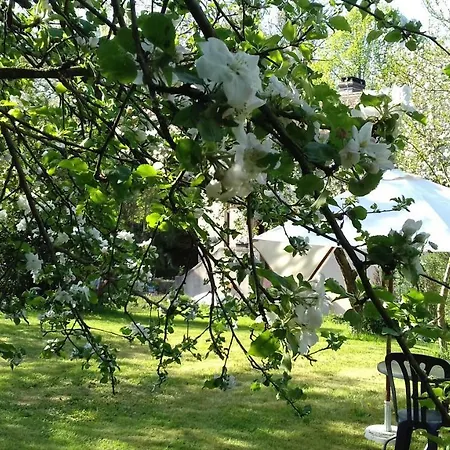 Domaine Pastel Besson