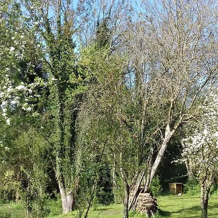 住宿加早餐酒店 Domaine Pastel