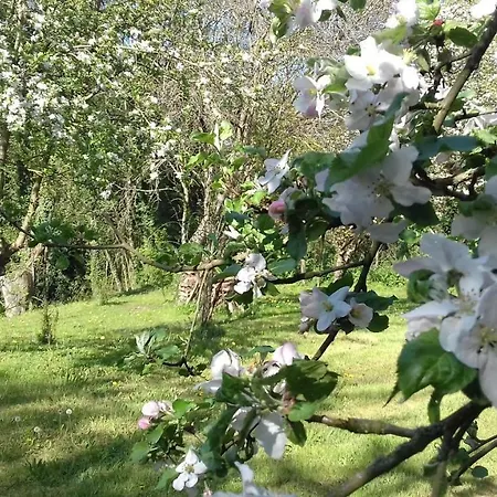 Domaine Pastel Panzió