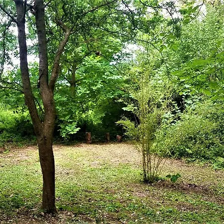 Frühstückspension Domaine Pastel 3*