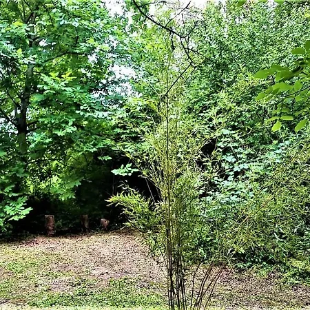 Domaine Pastel 住宿加早餐酒店 3*