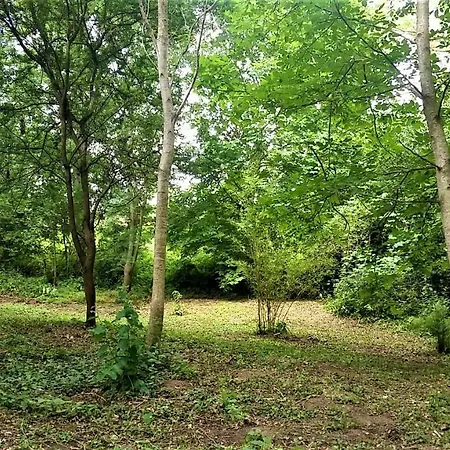 Domaine Pastel Besson