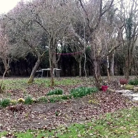 住宿加早餐酒店 Domaine Pastel Besson