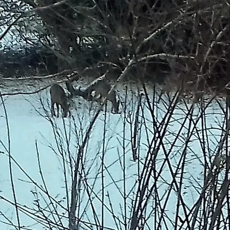 Domaine Pastel 住宿加早餐酒店 Besson