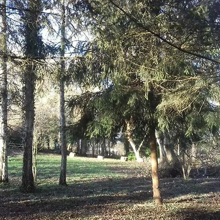 Domaine Pastel Frühstückspension