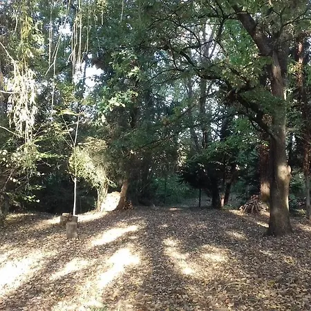 Domaine Pastel Frühstückspension 3*