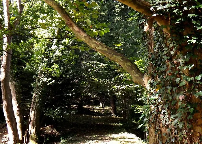 Domaine Pastel Bed & Breakfast