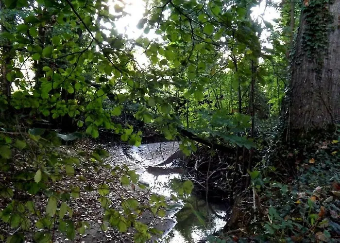 Domaine Pastel 3* Besson