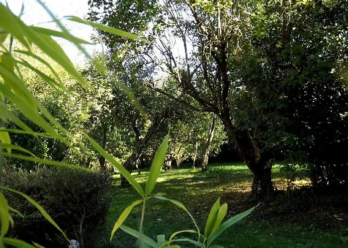 Bed & Breakfast Domaine Pastel