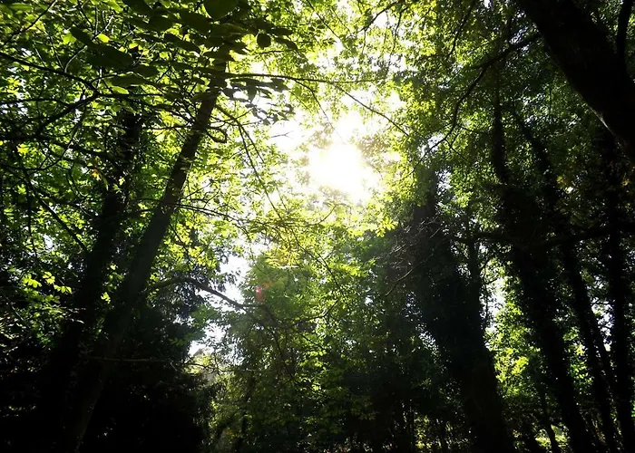 Bed & Breakfast Domaine Pastel Besson