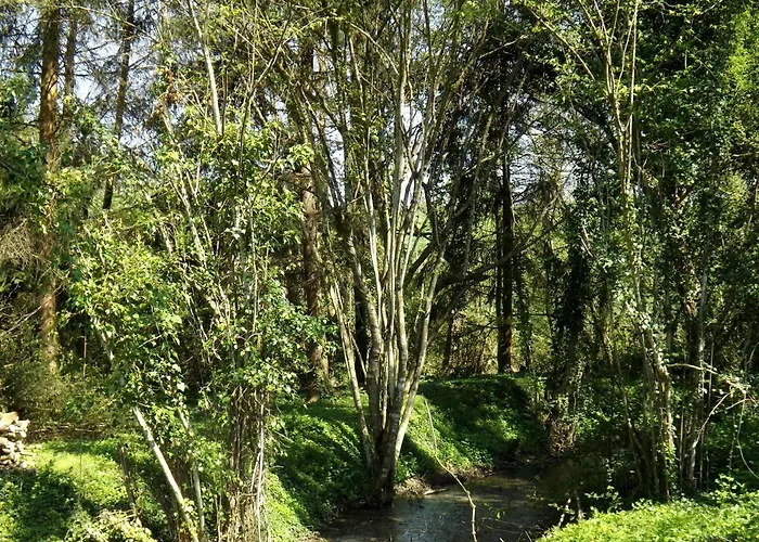 Bed & Breakfast Domaine Pastel 3*