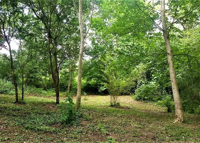 Domaine Pastel Besson