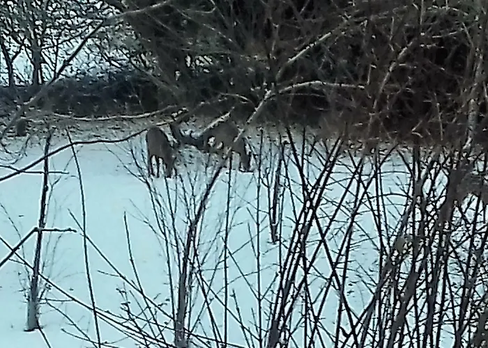 Domaine Pastel Bed & Breakfast Besson